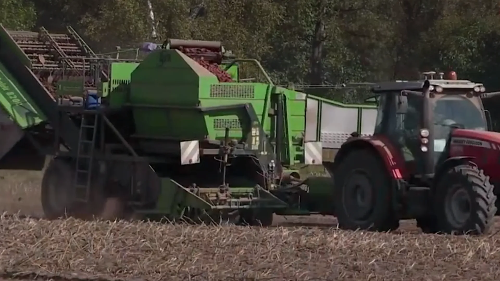 Более 6 тысяч тонн зерна собрали на сельхозпредприятии «Емельяновка» в Озерах за лето