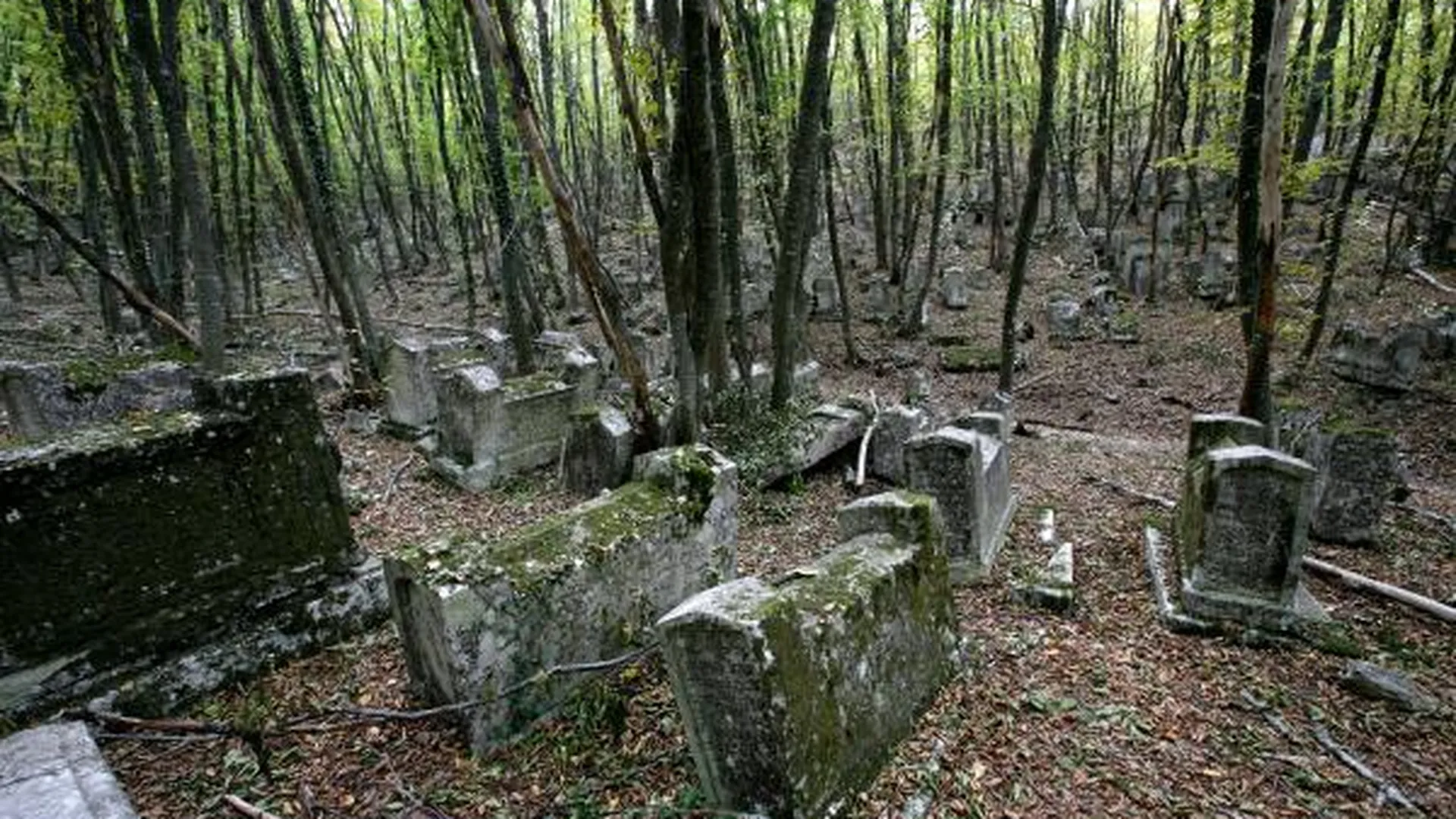 Посаженников: ряд муниципалитетов не контролируют ситуацию на кладбищах