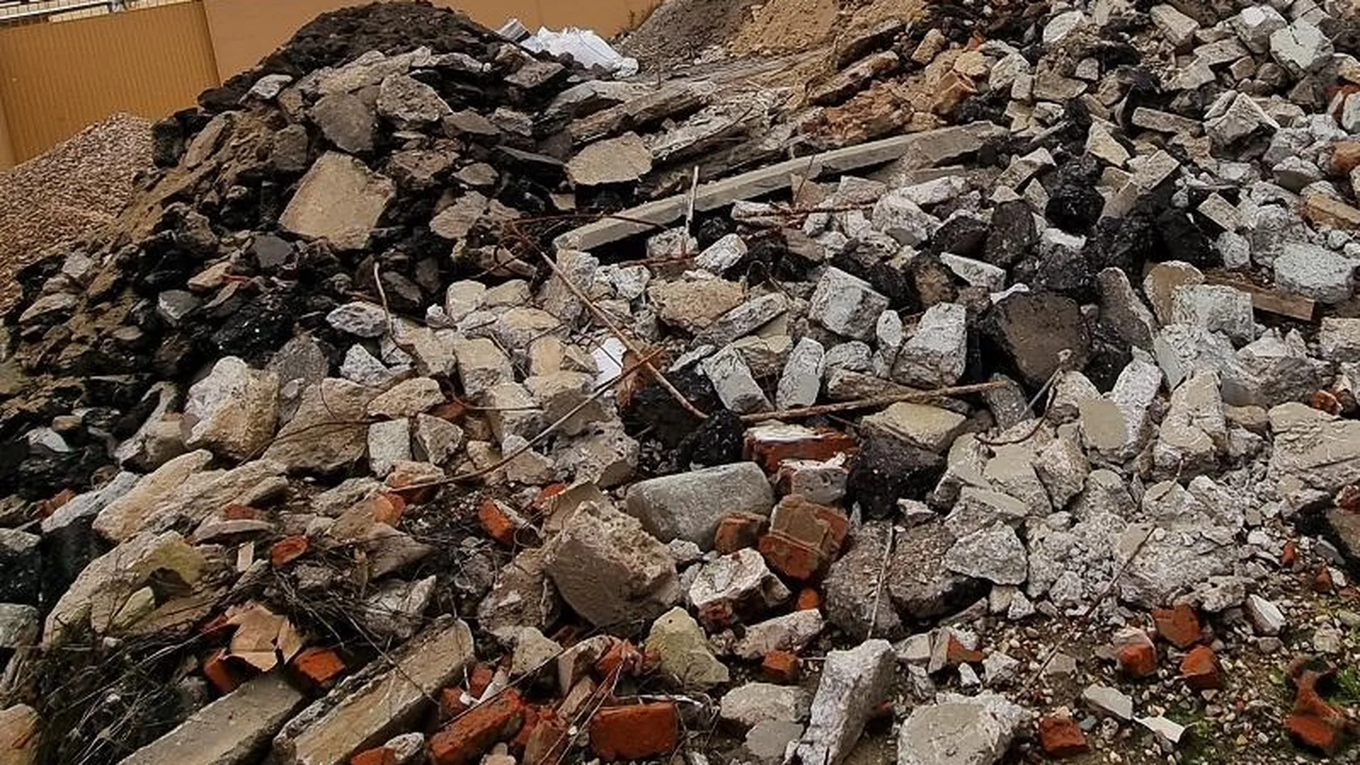 Два жителя Можайского округа заплатят штрафы за незаконный сброс отходов