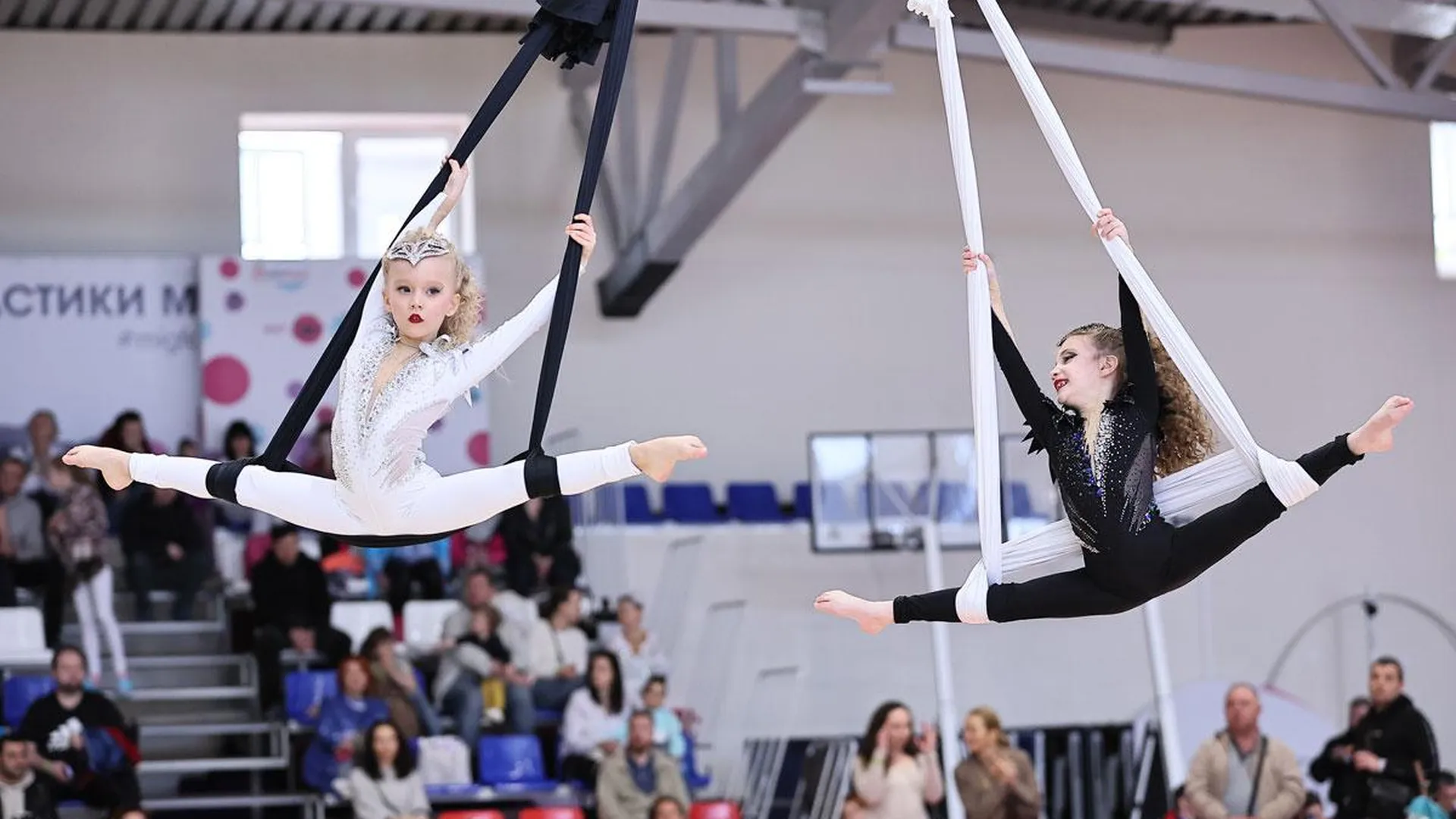Всероссийский фестиваль циркового искусства пройдет в Хотьково 20 и 21 апреля