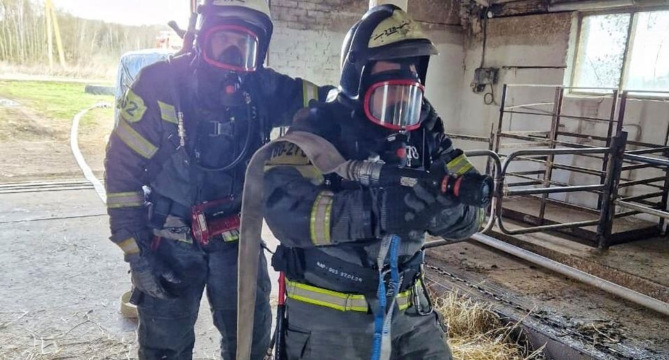 Спасатели провели учения по тушению пожара в совхозе в Наро-Фоминске