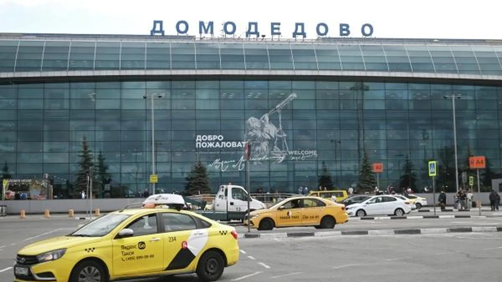 Аэропорт Домодедово ограничил прием и вылет самолетов