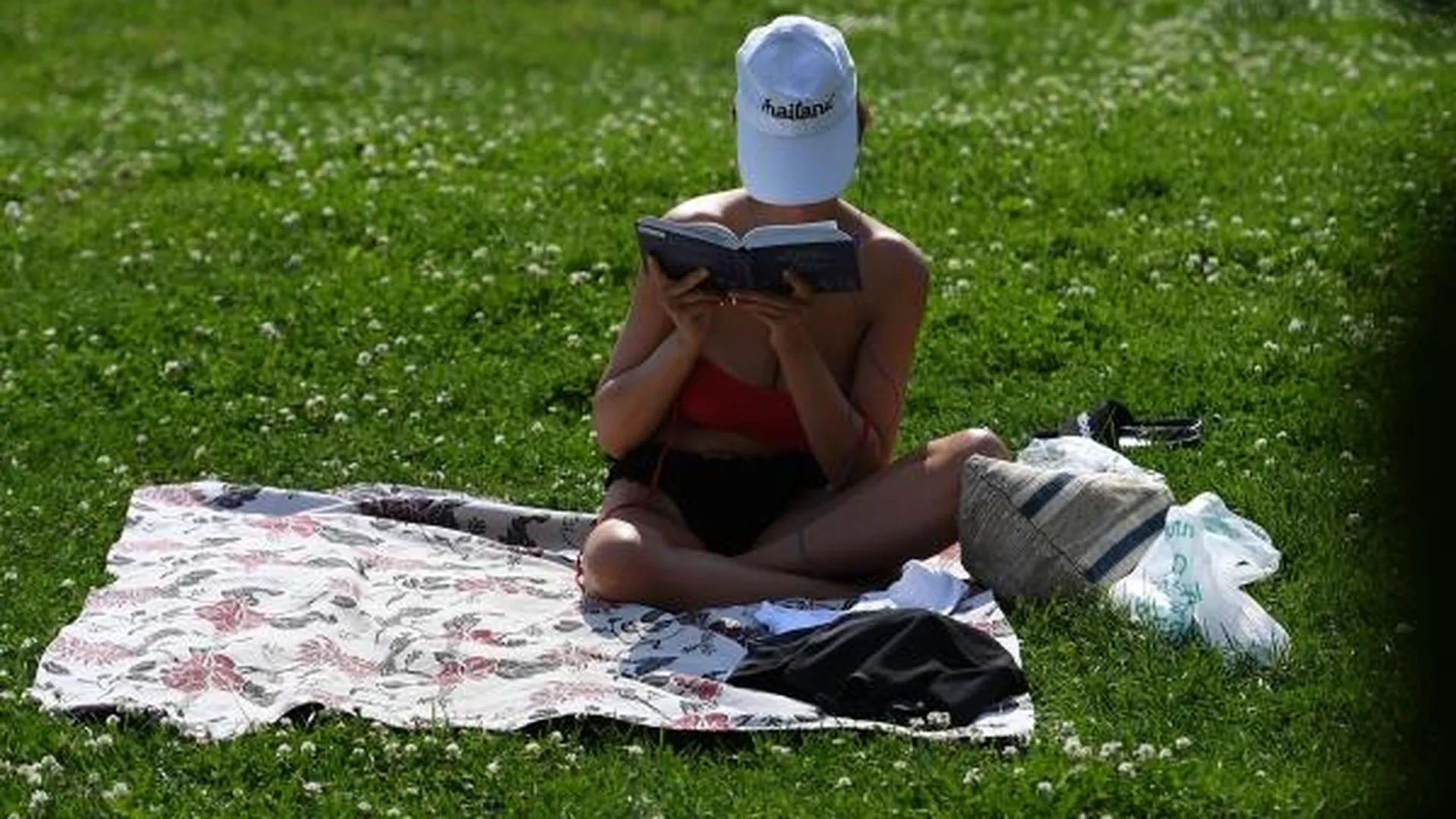 Девушка читает книгу в жаркую погоду в парке Горького в Москве, 2022 год