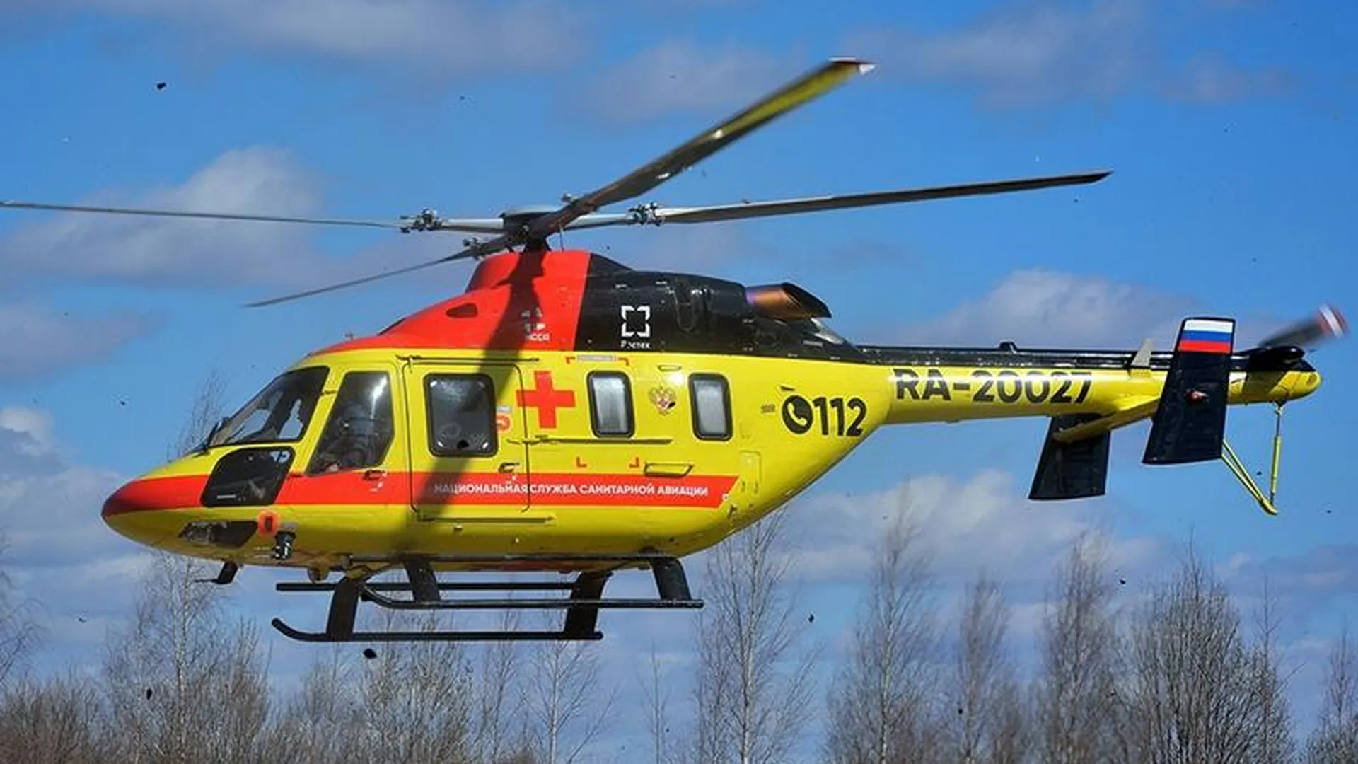 Мужчин эвакуировали на вертолете, после того как они сбили беременную лосиху под Протвино