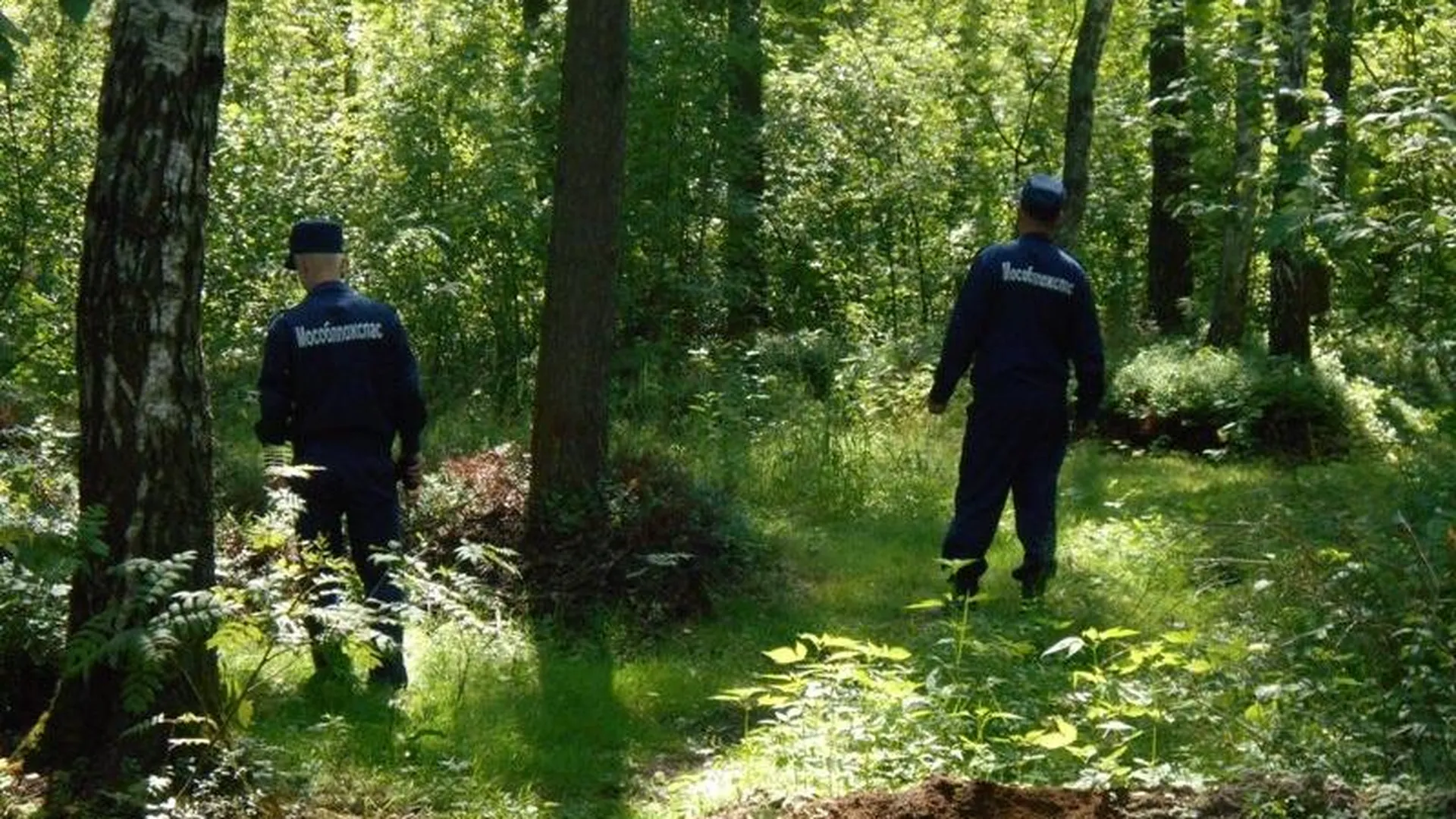 Спасатели МО вывели из леса трех заблудившихся женщин