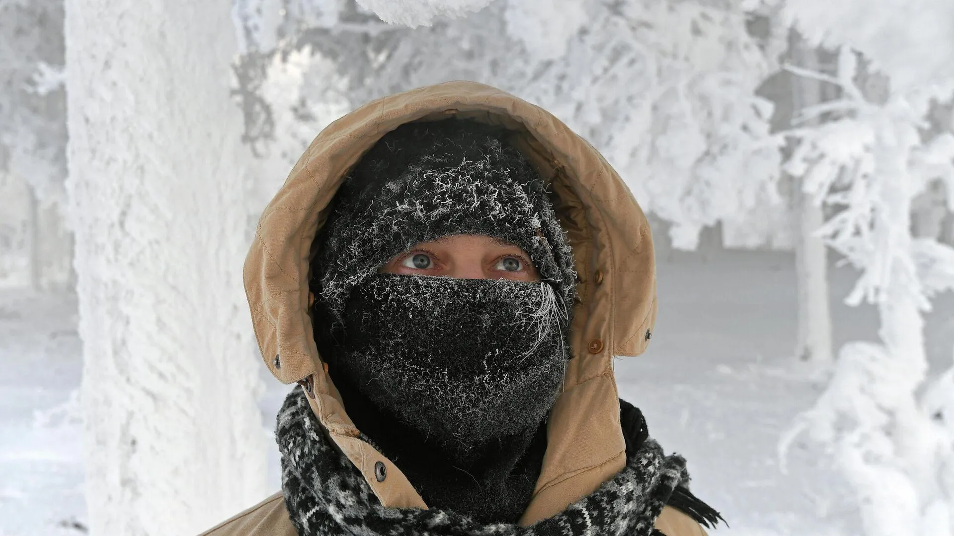 На улице сильные морозы. Аномально холодная зима. Аномальный холод в Москве. Сильный Мороз. Российские Морозы.