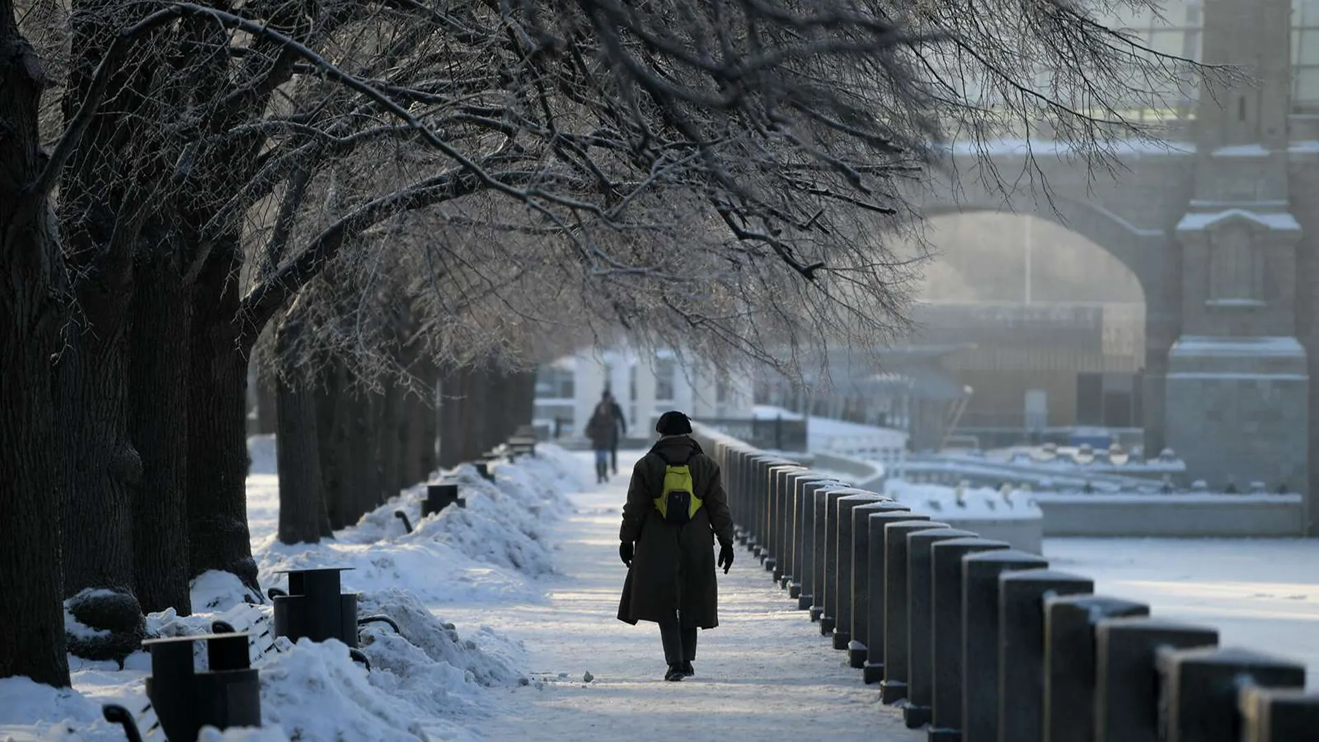 В марте будут морозы в москве. Морозы в Москве. Аномальная зима. Зима. Аномально теплая зима.