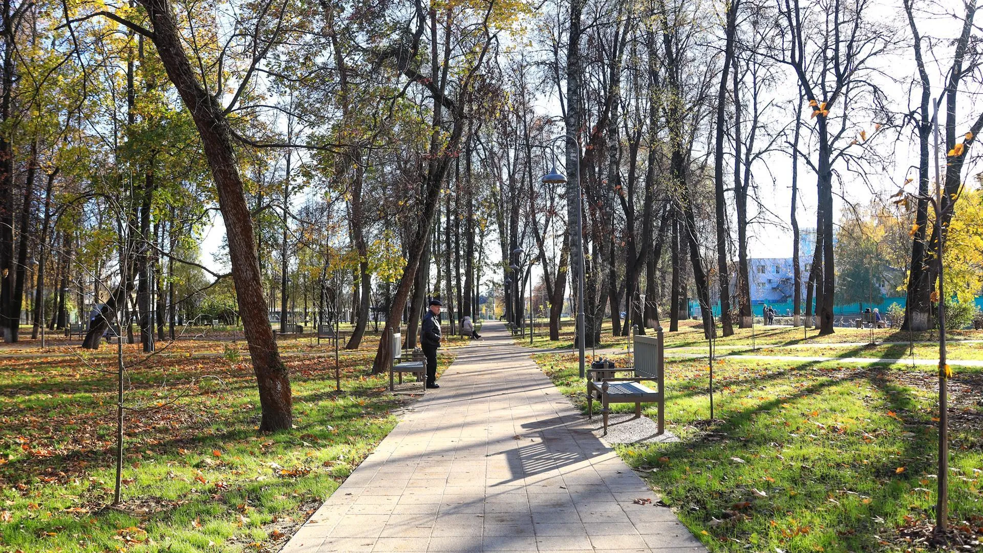 Центральный парк в Лыткарине принял 26 тысяч посетителей за неделю