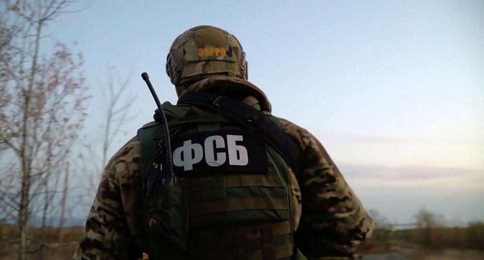 «Известия»: группировка готовила теракт в Ингушетии во время выборов президента