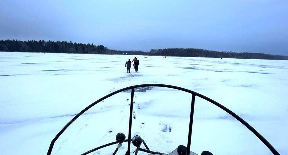 В голосовании за очистку прудов и озёр в Одинцовском округе лидирует водоём в селе Юдино