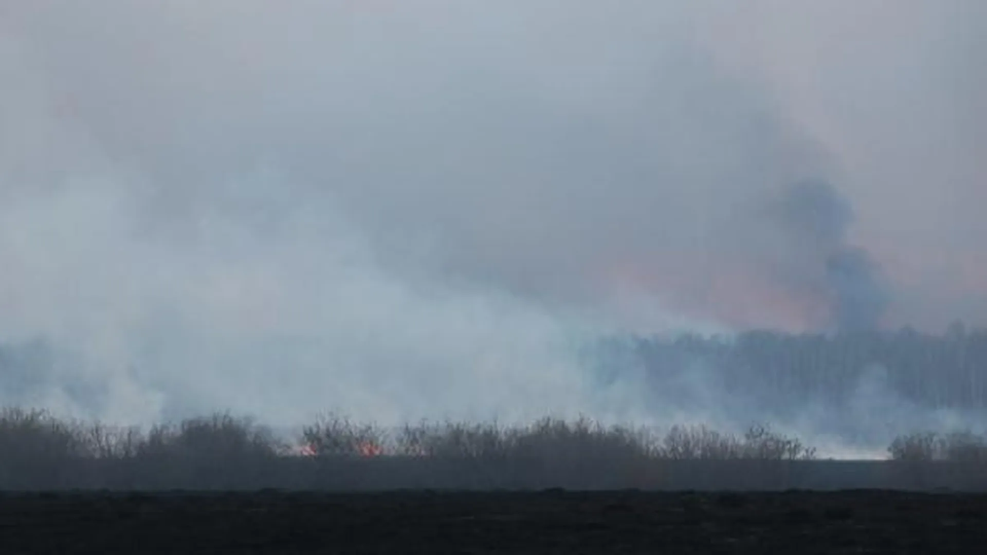 В Тюменской области введен режим ЧС из-за лесных пожаров