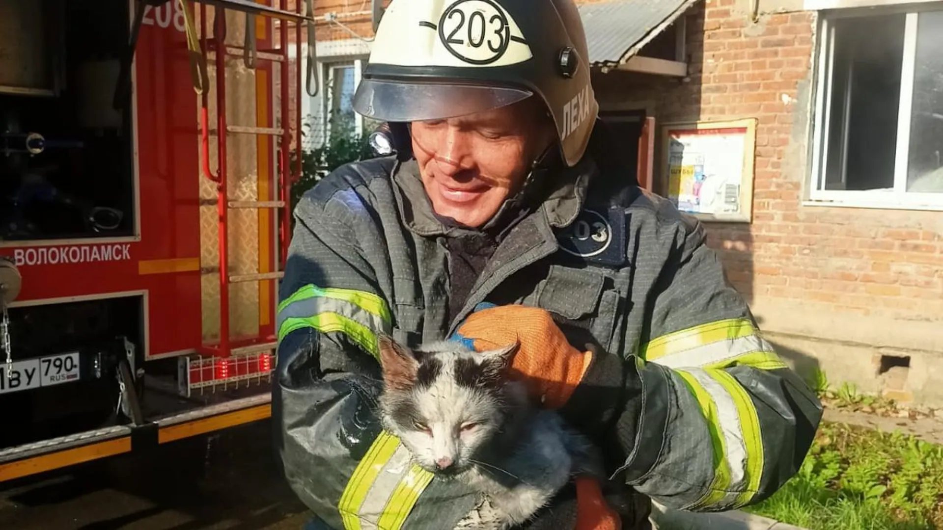 В Волоколамске при тушении пожара спасли кота