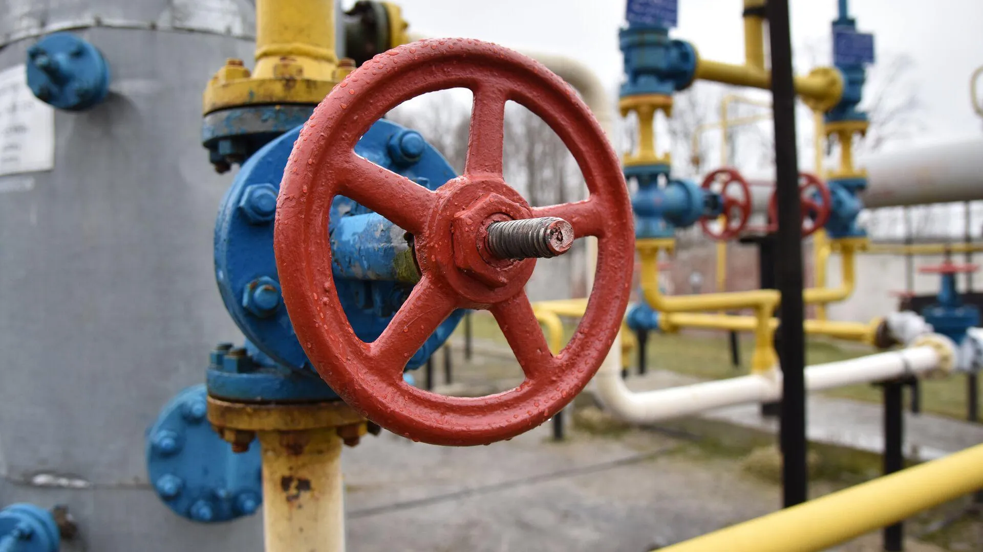 Газ нужен всем. Европейские компании найдут возможность получать российское сырье