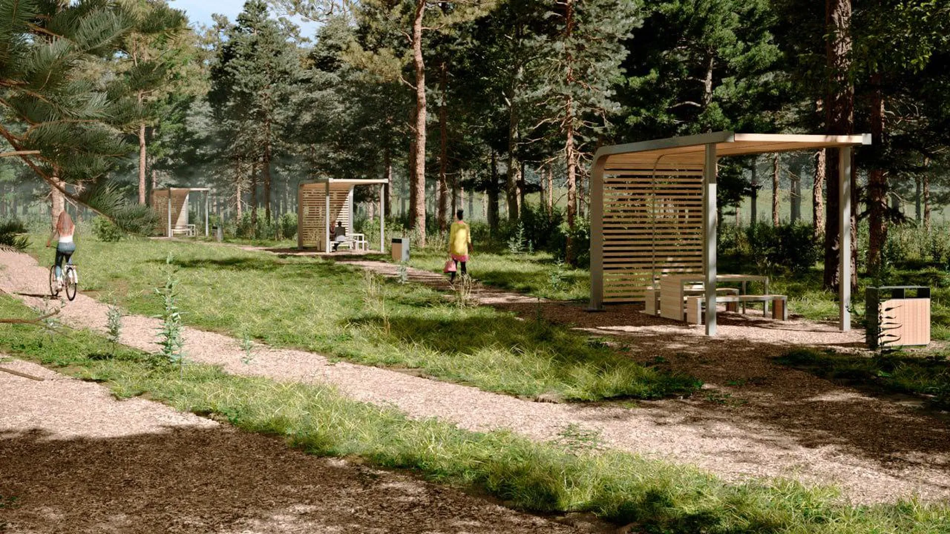 Благоустроенный лесопарк «Дубки» планируют открыть уже в этом году в подмосковной Апрелевке