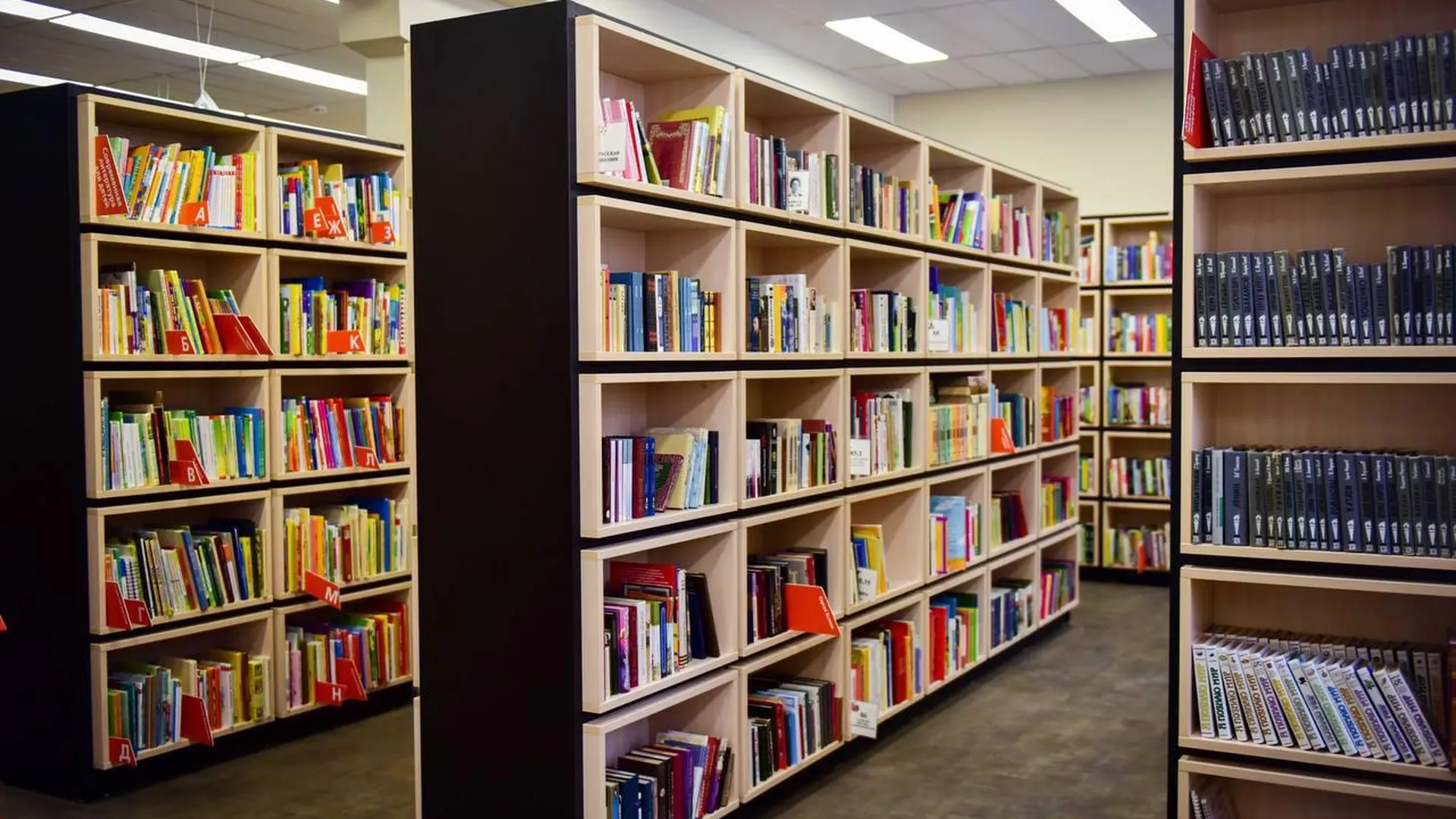 Жители Химок взяли в библиотеках более 60 тысяч книг с начала года