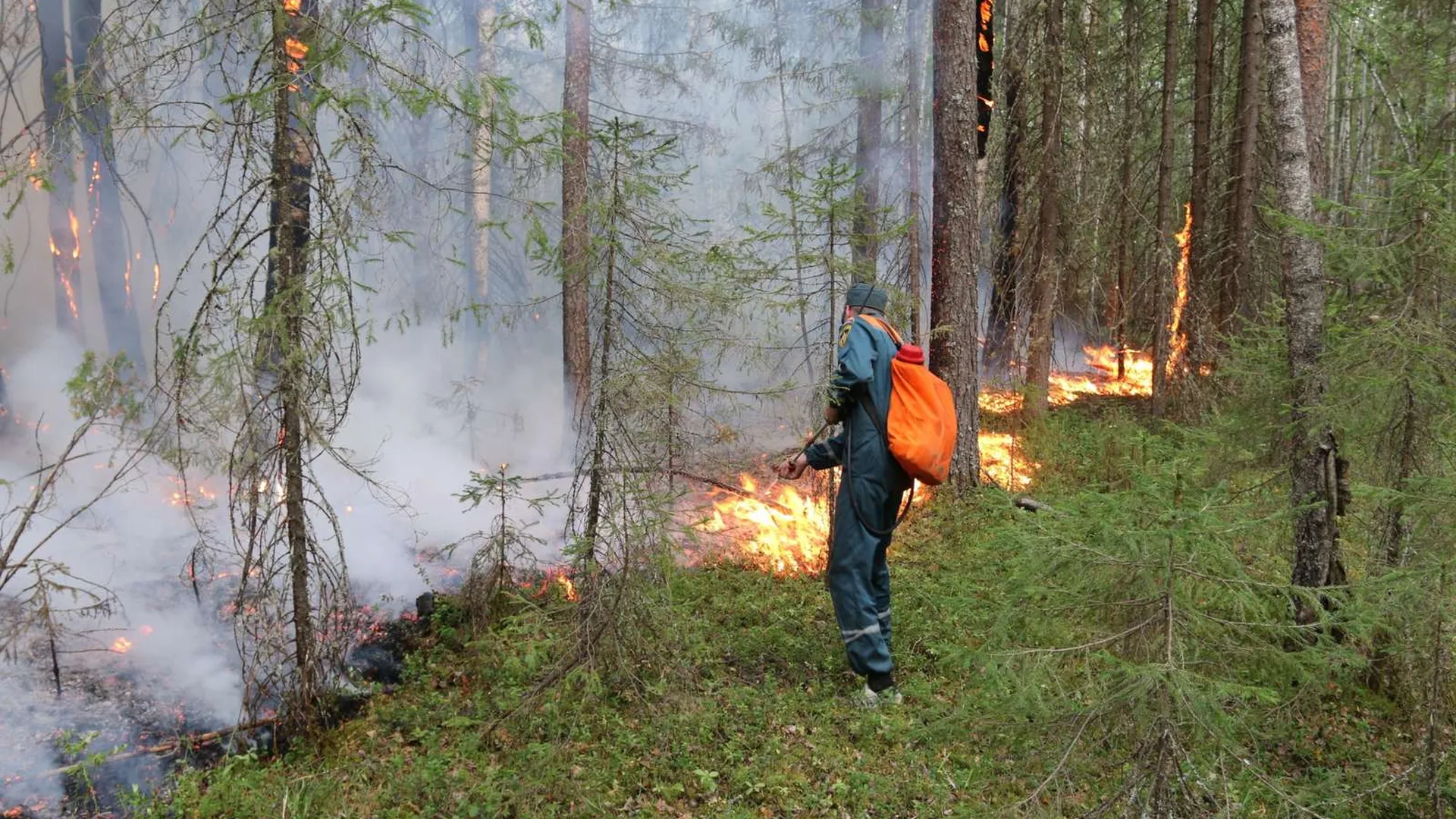 Источники лесных пожаров