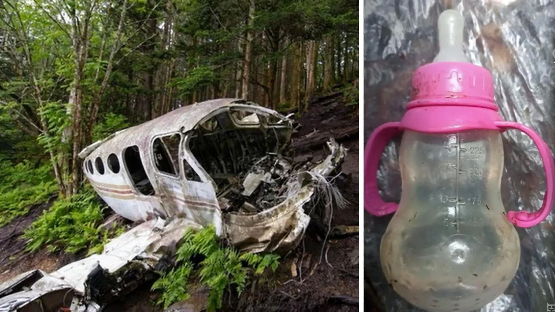 Упавший самолет и бутылочка 11-месячного пассажира