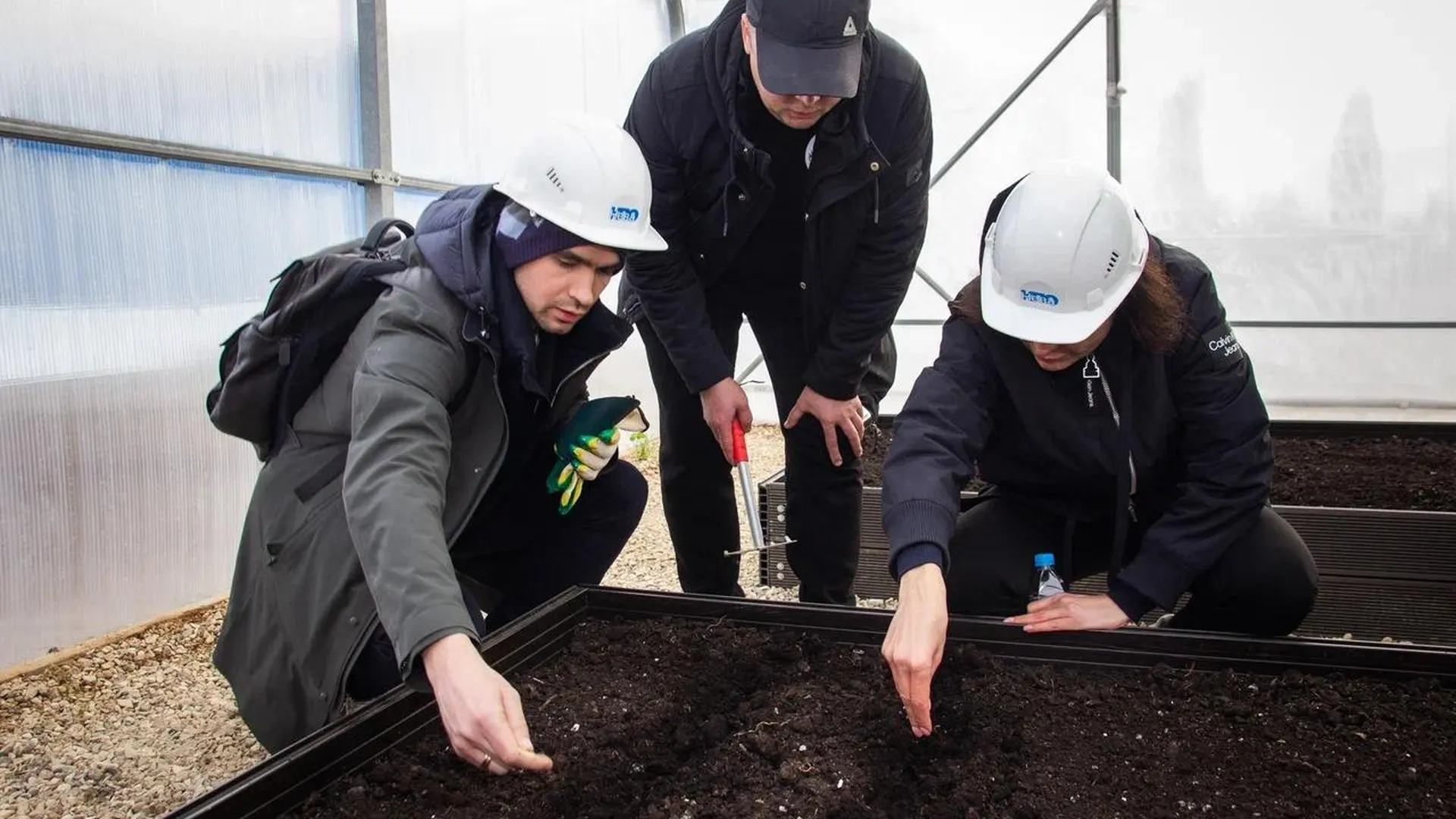 В подмосковном Солнечногорске стартовал эксперимент по выращиванию растений в техногрунте