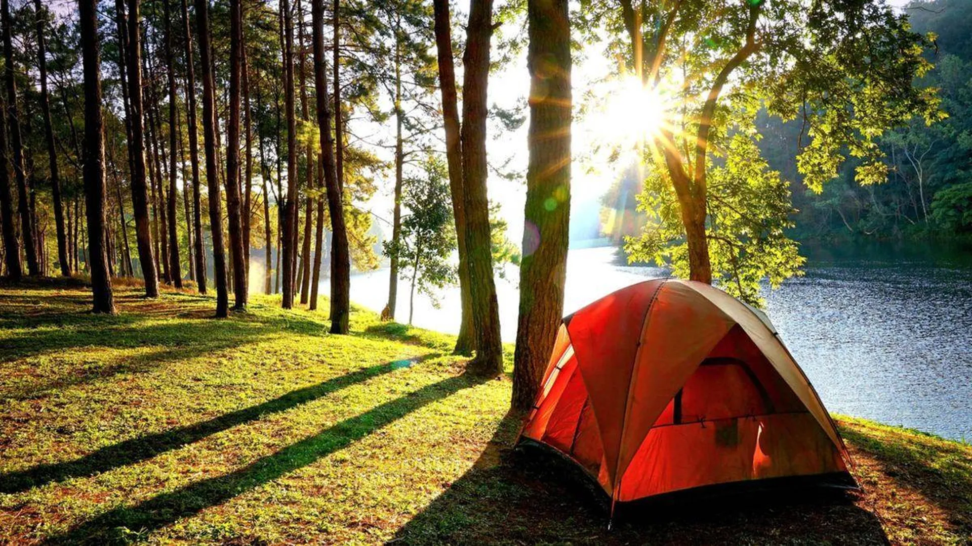 Кемпинг поход. Торбеево озеро палаточный лагерь. Палаточный кемпинг Истра. Истринское водохранилище кемпинг с палатками. Истра кемпинг с палатками.