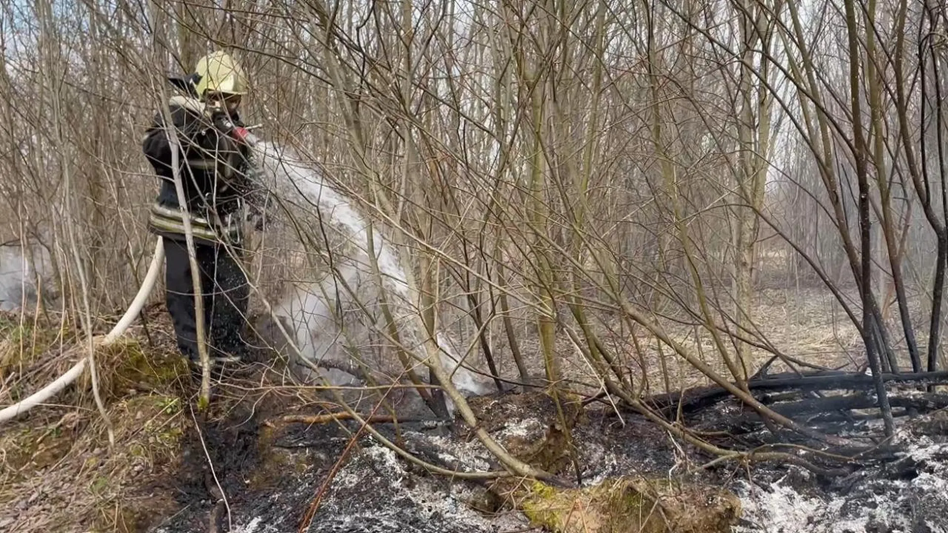 Более 130 возгораний сухой травы потушили за сутки в Подмосковье