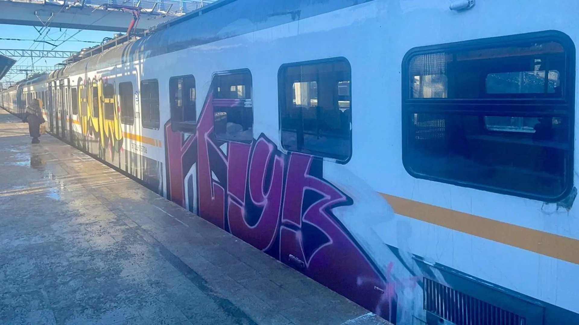 «В Московской области привлекали уже дважды»: что грозит юным любителям граффити, которые разрисовали поезд