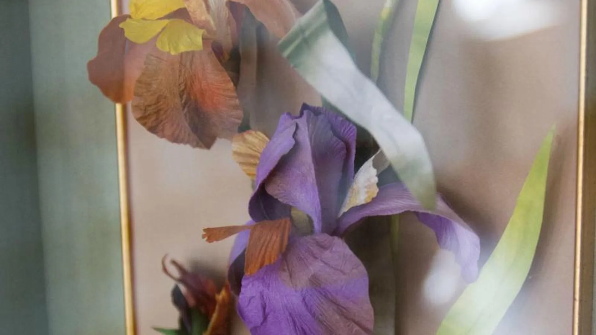 Необычные бумажные цветы можно увидеть на выставке в Щелковском районе 