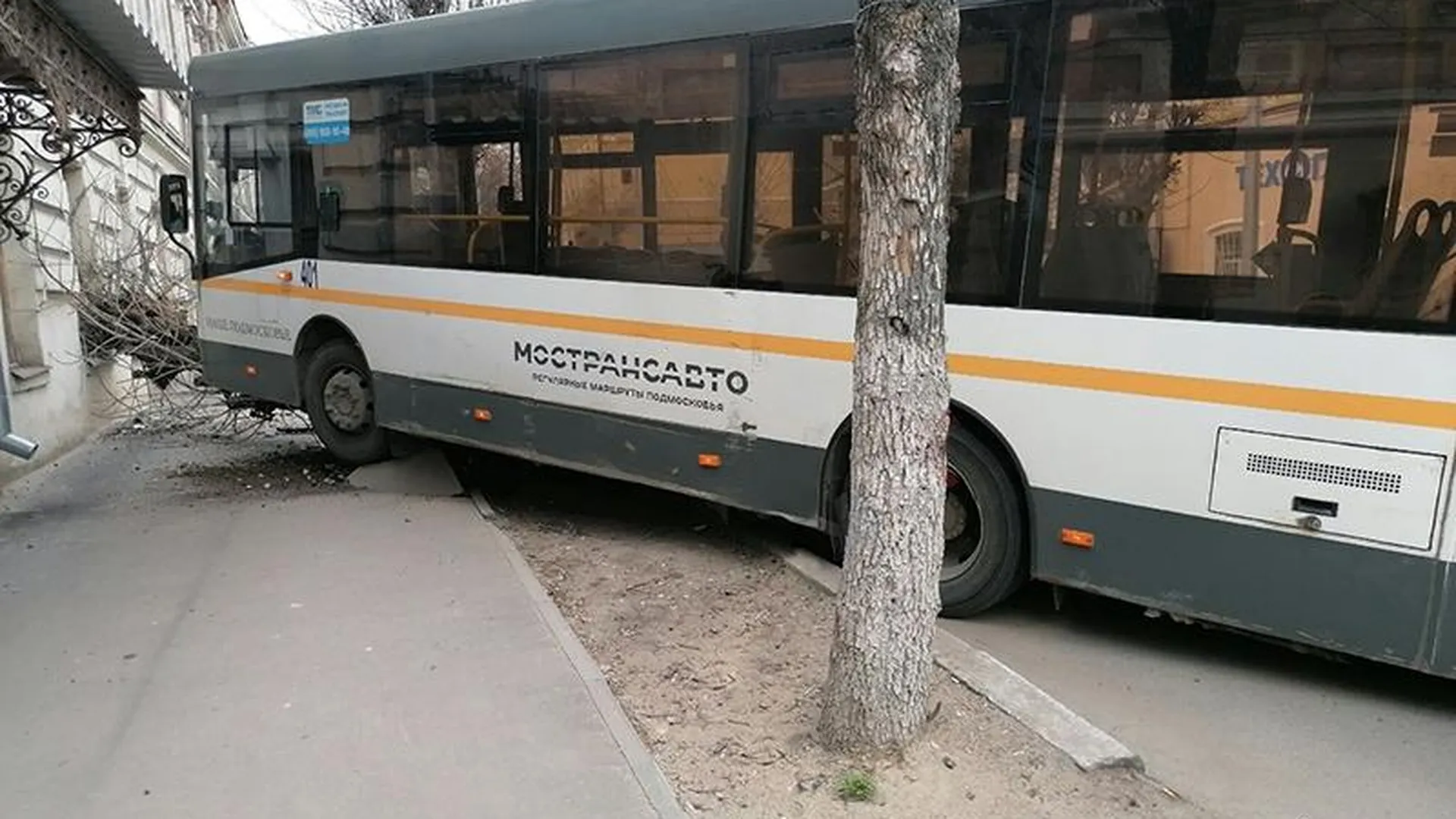 Водитель автобуса снес дерево на тротуаре в Серпухове