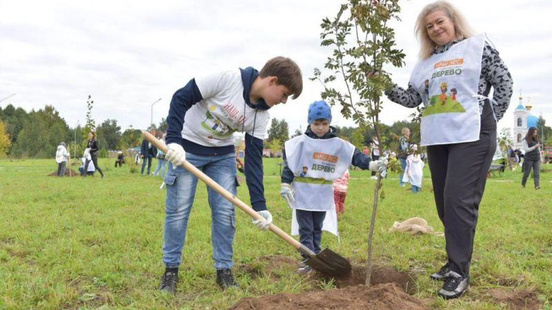 Почти 230 тысяч новых деревьев и кустарников высадили сегодня в Подмосковье