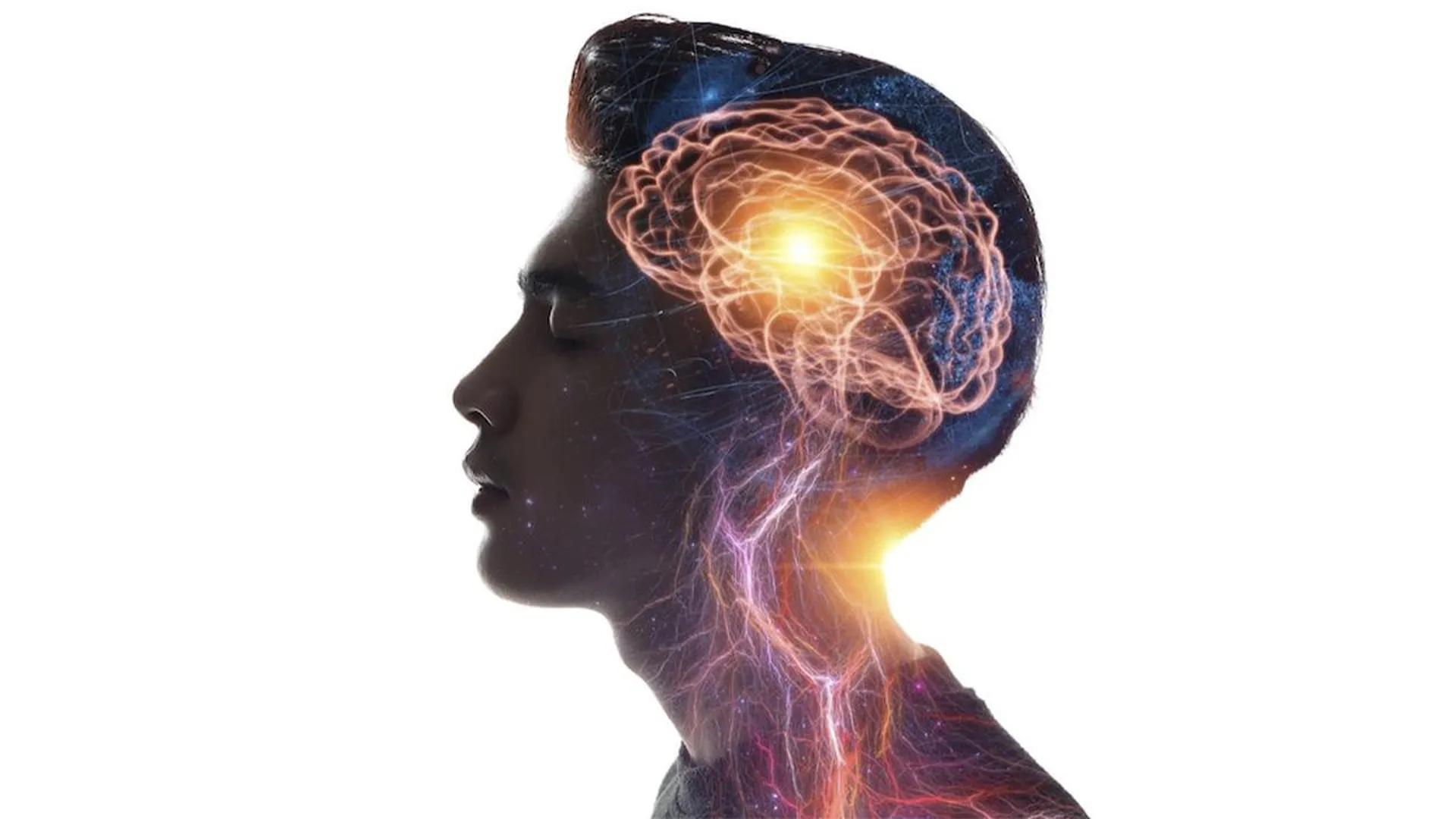 «Цифровой архиватор»: нейрохирург раскрыл удивительные свойства человеческого мозга