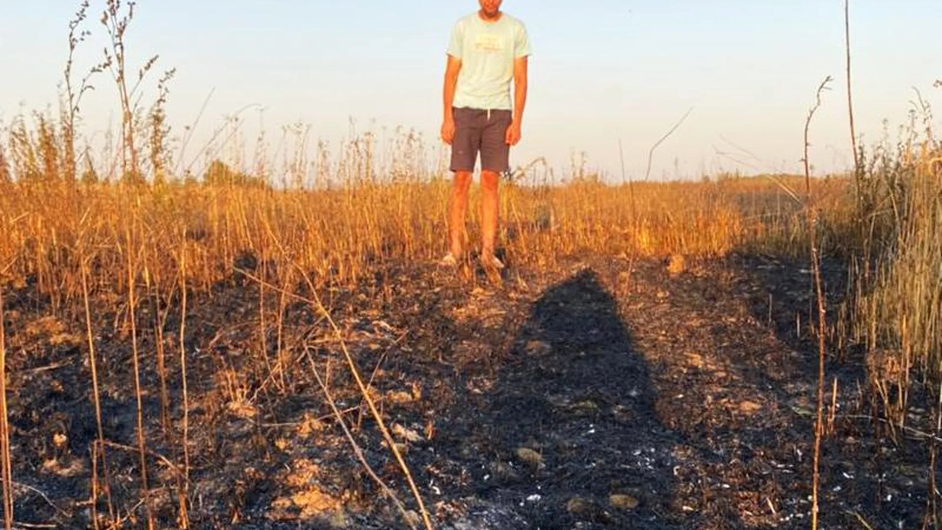 Неизвестные сожгли земли с пшеницей молодого фермера под Раменским