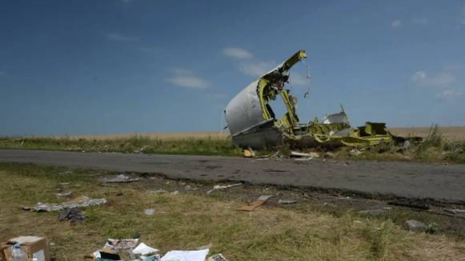 Власти Нидерландов собрались выслать раскрывших подробности о деле MH17 россиян — СМИ