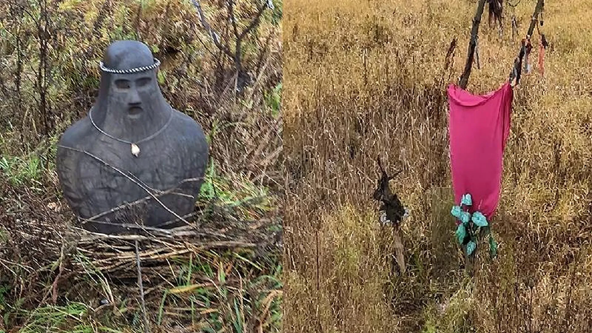 «Не похоже на пранк»: эксперт допустил, что устроивших капище в Можайске может проверить участковый