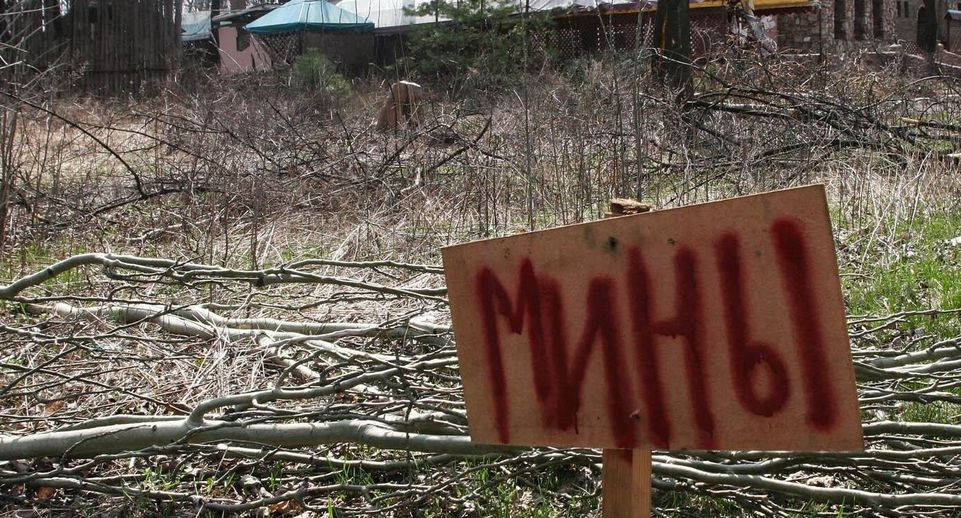 Богомаз: житель Брянской области погиб, подорвавшись на мине в запрещенной зоне
