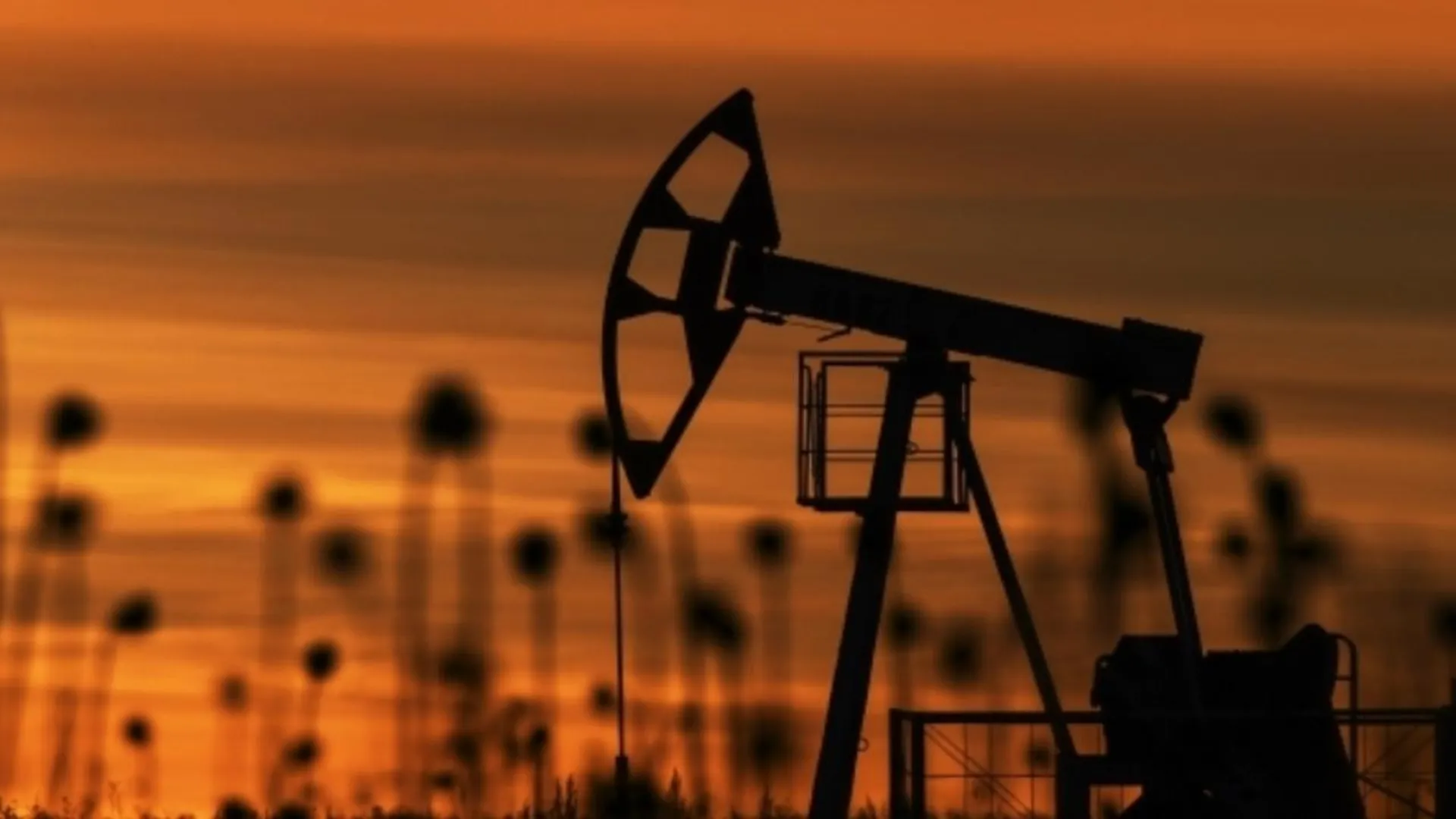 Российские власти признали сокращение поставок нефти в Европу в десять раз