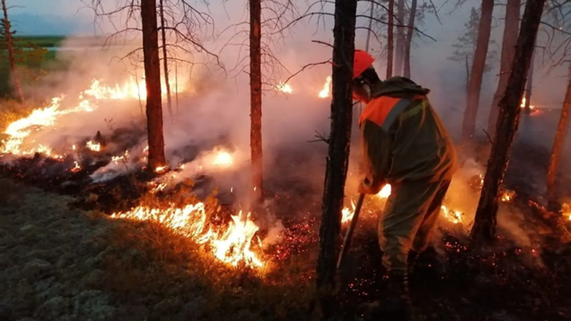 Собянин рассказал об обстановке на пожарах в Рязанской и Владимирской областях