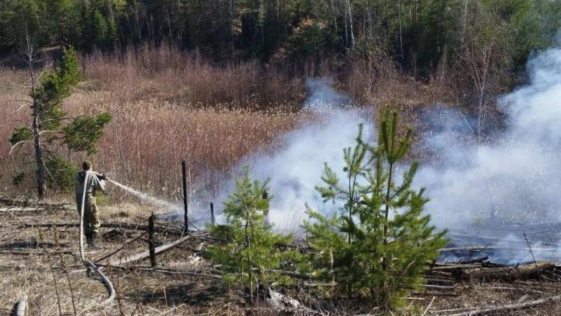 Первый лесной пожар ликвидировали в Подмосковье