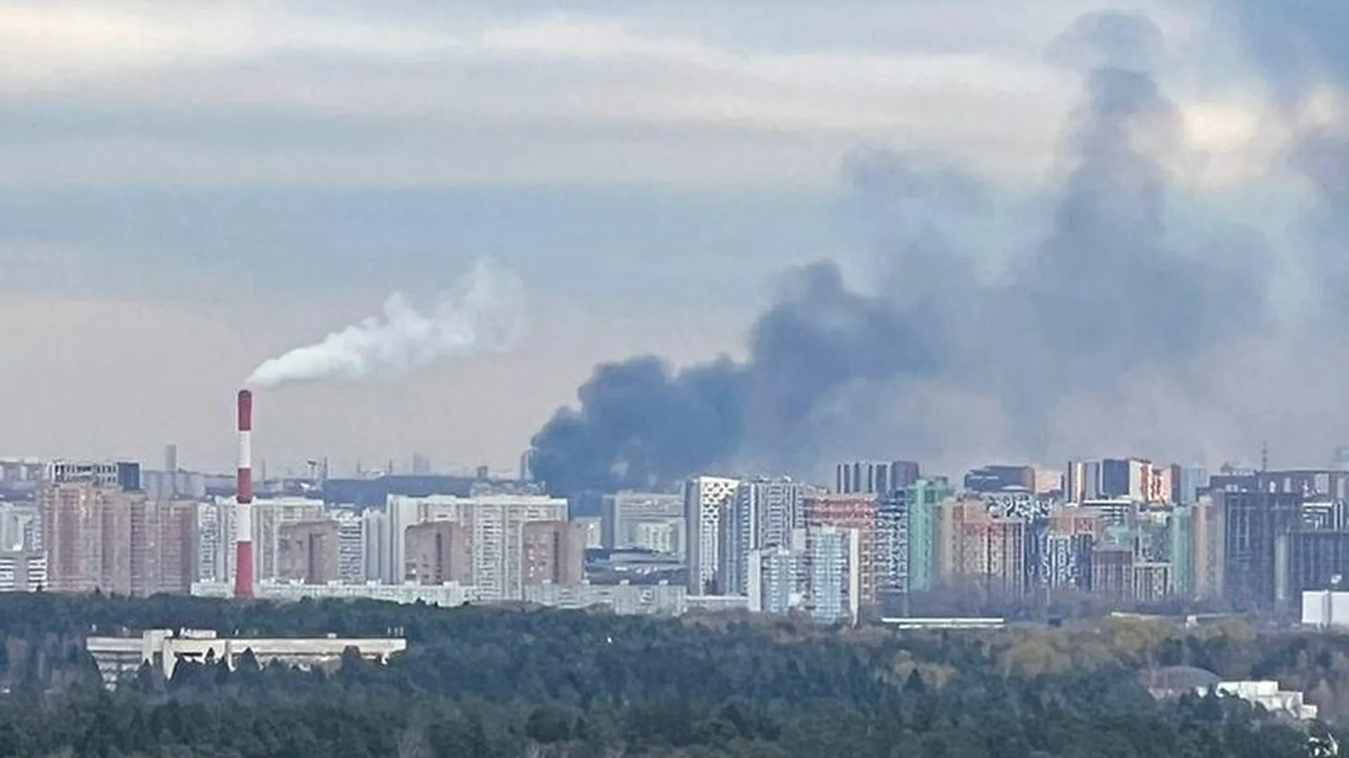 Москвичи считают пожар на Николо-Хованском строительном рынке диверсией