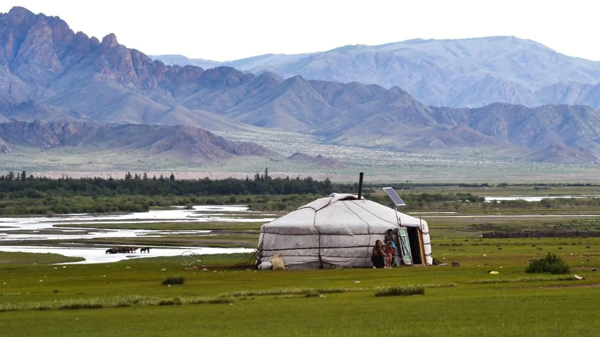 На границе России и Монголии обнаружены очаги чумы