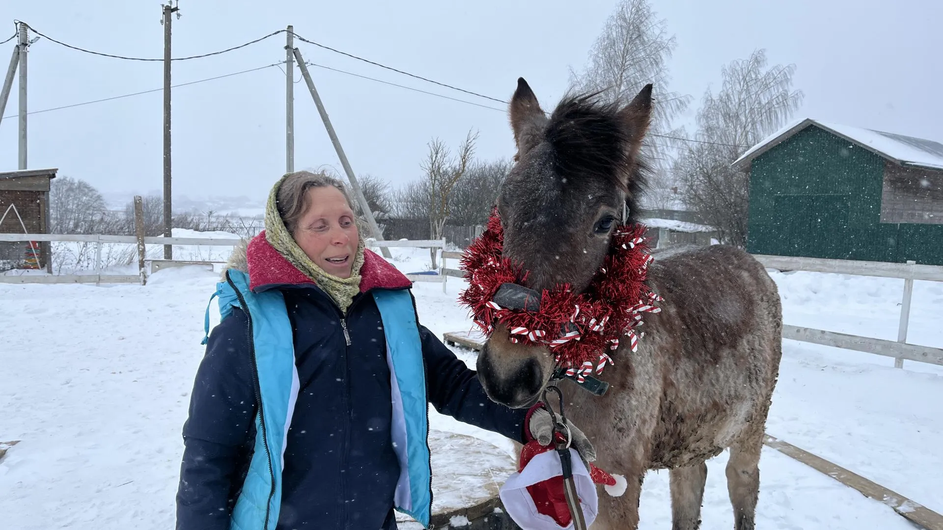 Спасенную из рук живодера лошадь приютили в Волоколамске