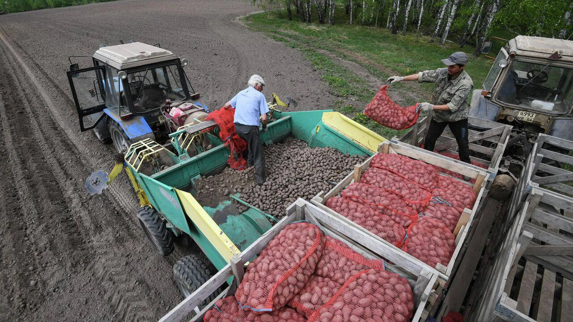 Херсонские фермеры назвали Украину виновной в ухудшении своего положения