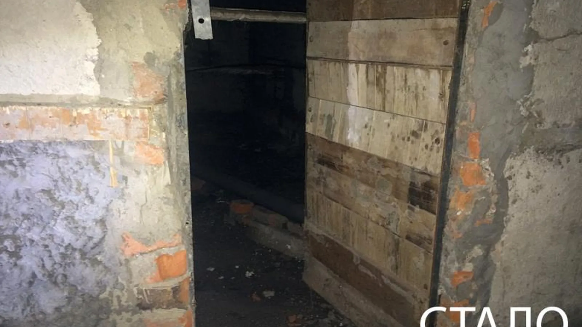 УК в Краснознаменске заставили навести порядок в подвале, чтобы согреть дом