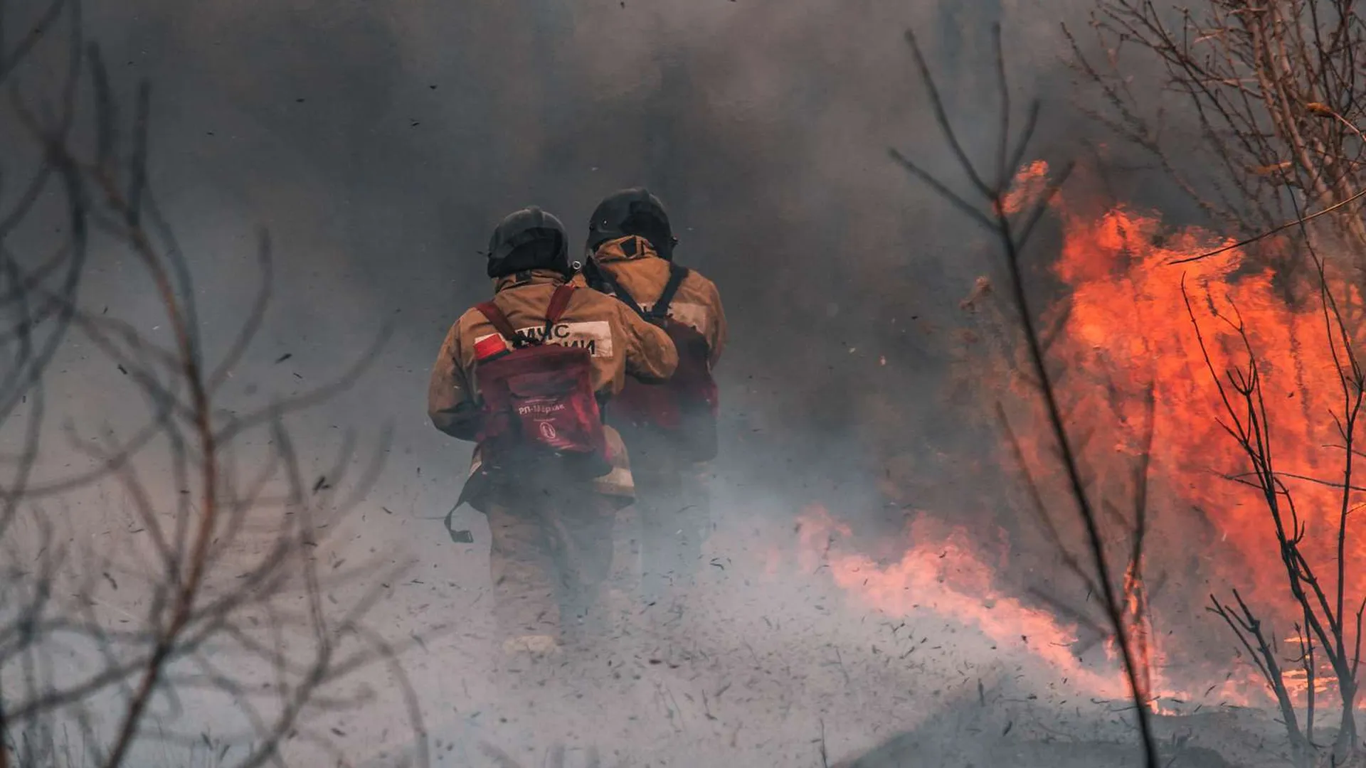 Подмосковье предложило страховать лесных пожарных за счет областного бюджета