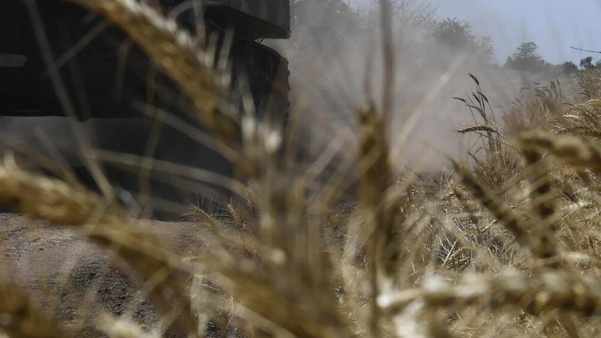 Теракт на Каховской ГЭС привел к потере урожая Херсонской области