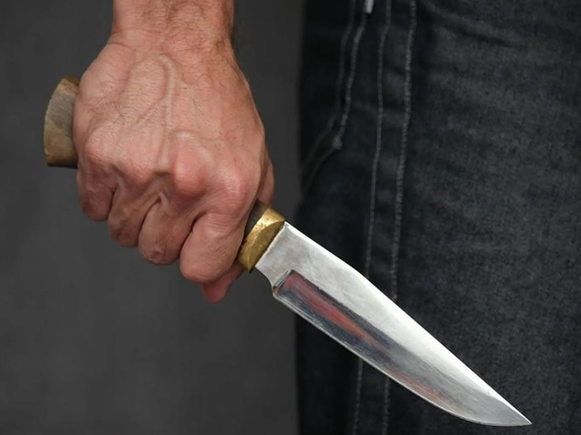 На мужчину, пырнувшего ножом собаку в Химках, завели уголовное дело