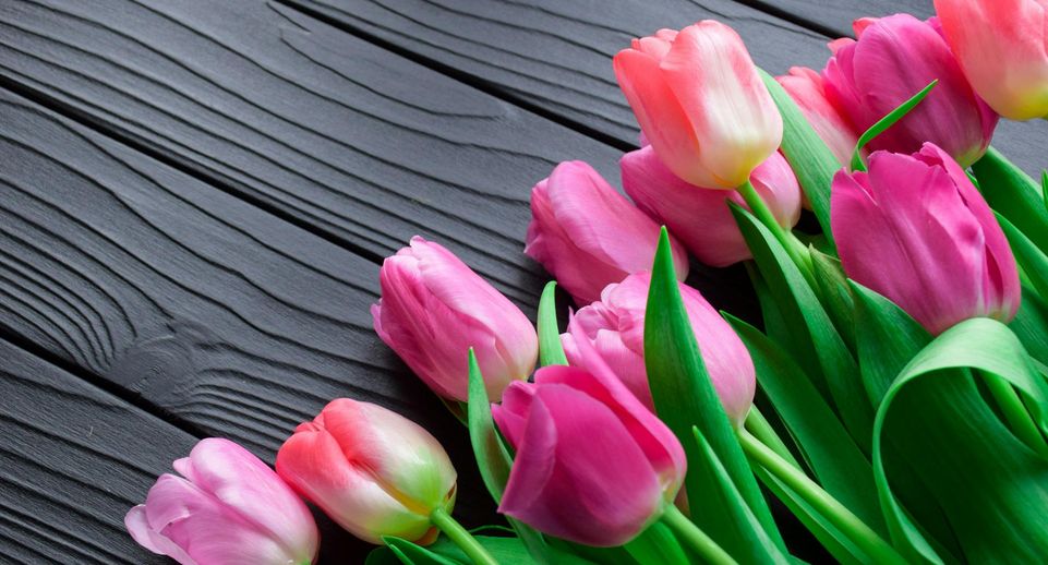 Жительницы Воскресенска получили тюльпаны к 8 Марта от главы округа Алексея Малкина