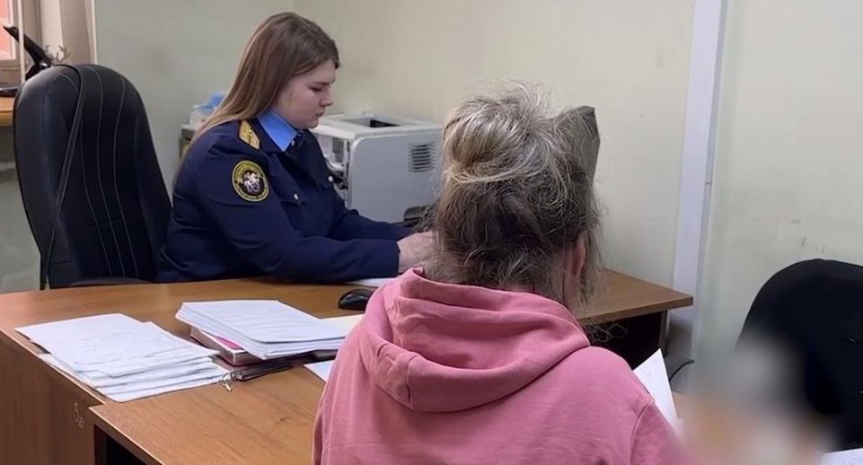 Следствие завершило расследование дела экс-чиновницы Натальи Соколовой о взятке