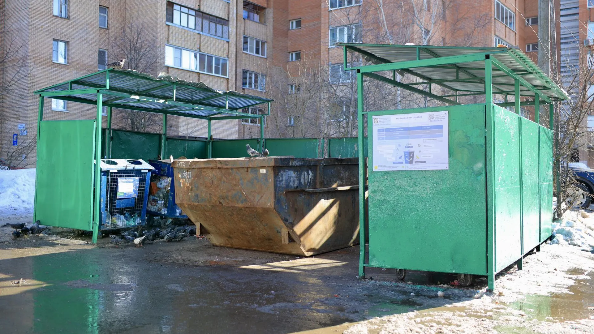 Свыше 300 мусорных навалов убрали в Подмосковье в марте благодаря чат-боту
