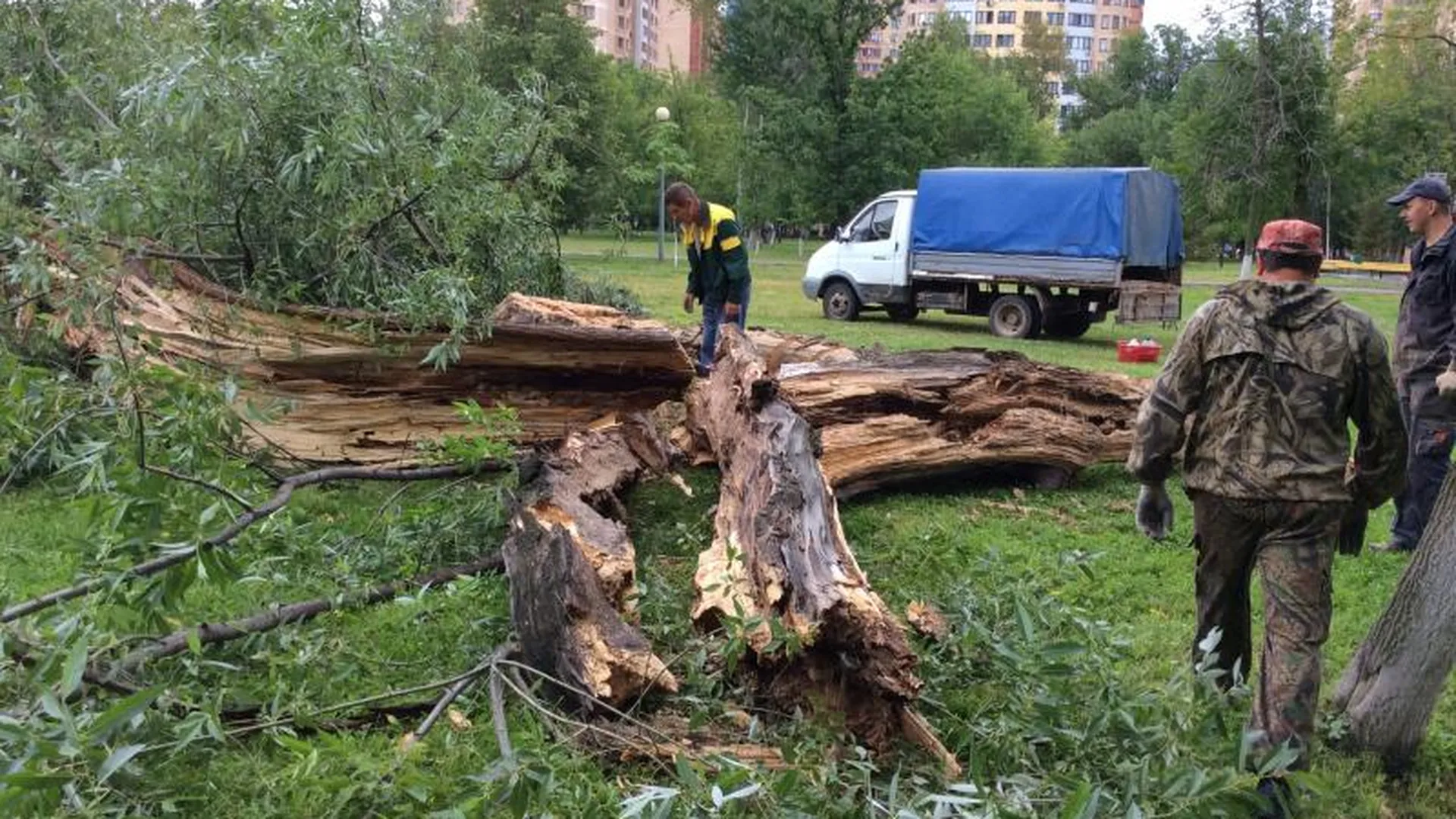 Ураган в Реутове повалил десятки деревьев
