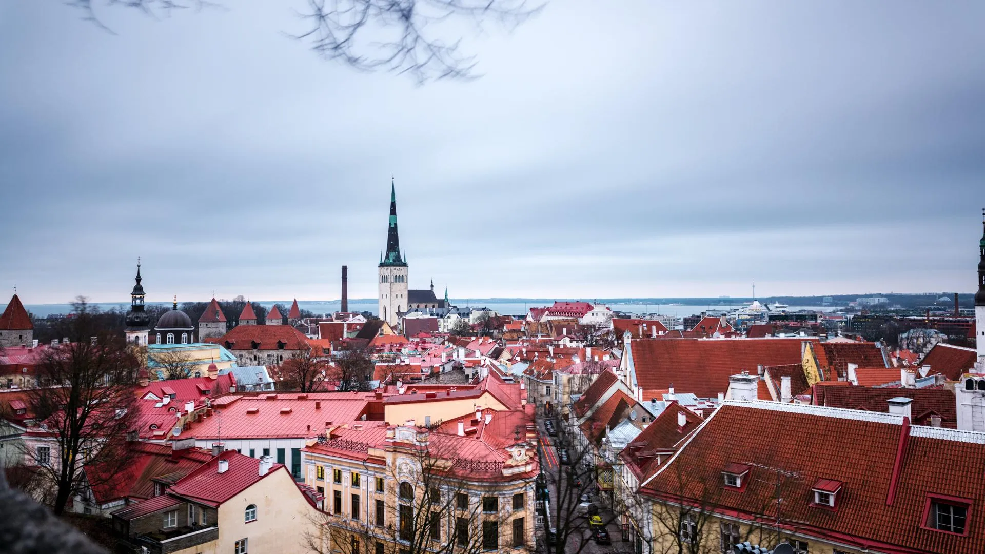 Эстонского евродепутата возмутила работа посольства Украины в Таллине