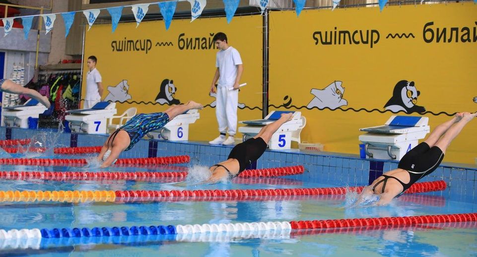 Финальные турниры международной серии Swimcup по плаванию пройдут в Раменском